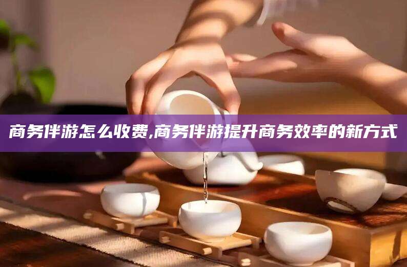 浮梁商务伴游怎么收费,商务伴游提升商务效率的新方式